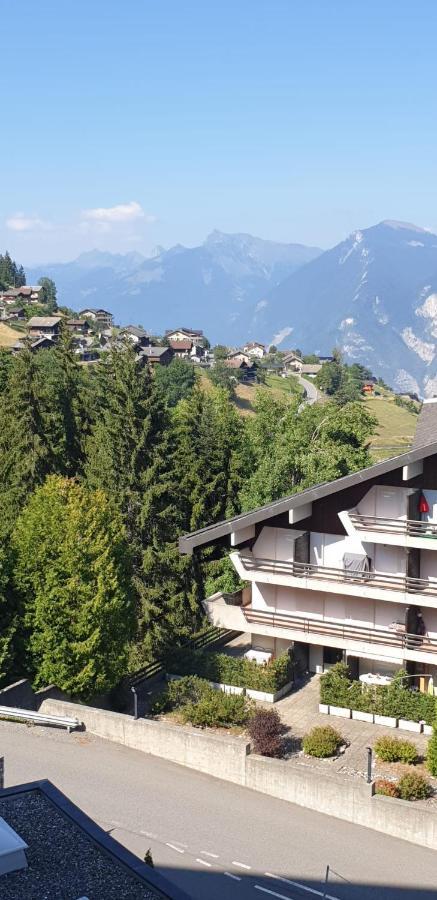Residence « Les Cretes » Torgon Buitenkant foto